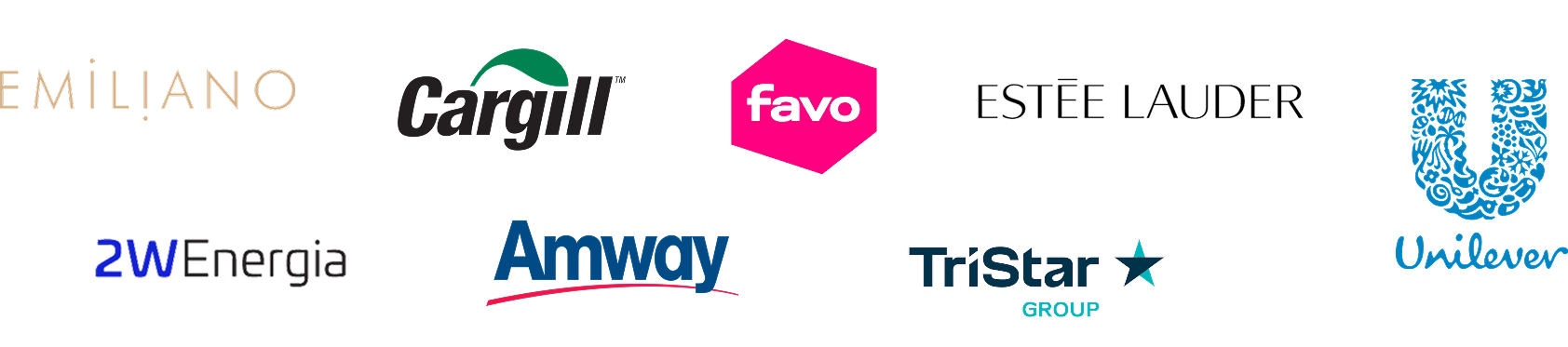 Global brands worked with: Emiliano, Estée Lauder, Favo, TriStar, 2W, Amway, Unilever, Cargill